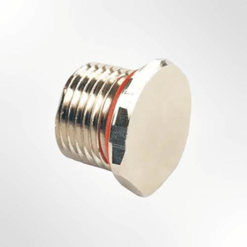 Blanking/Stopping Plugs